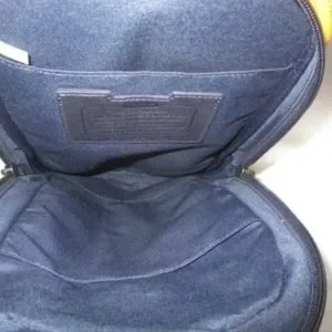 Coach | Bags | Coach Varick Sling Packbackpack Nwt | Poshmark